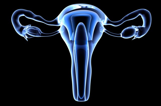 Fallopian tubes grown in the lab for the first time